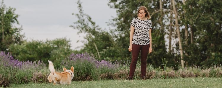 4 Raisons d’enseigner un rappel de FEU à votre chien même s’il ne sera JAMAIS lousse